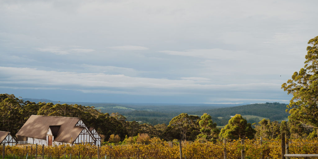 winery scenic 